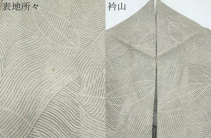 平和屋着物＊夏物　紗紬　吉祥舞葉文　正絹　逸品　CABJ0968th