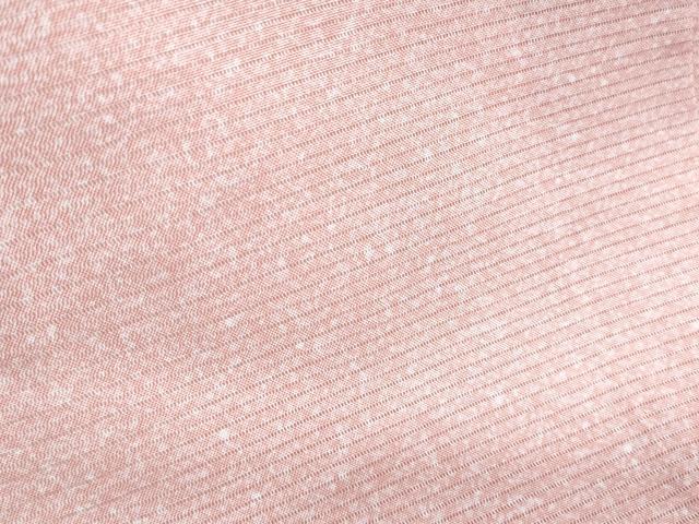 平和屋着物＊夏物　小紋　絽　霞文　反端付き　正絹　逸品　CABJ0986th