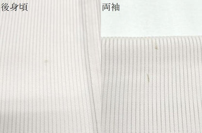 平和屋着物＊夏物　訪問着　縦絽　紫陽花　正絹　逸品　CABJ0989th