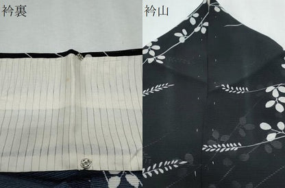 平和屋着物＊夏物　小紋　絽　枝葉文　黒地　正絹　逸品　CABJ0995th