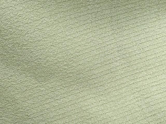 平和屋着物＊夏物　色無地　絽縮緬　山葵色　正絹　逸品　CABJ1017th