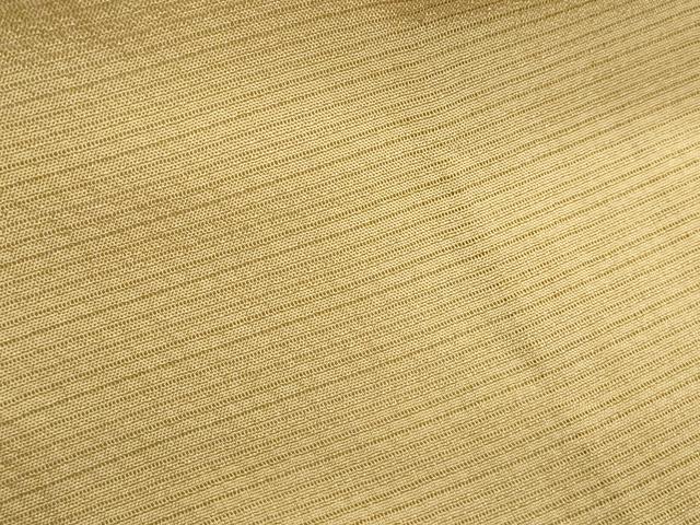 平和屋着物＊夏物　色無地　絽　榛色　正絹　逸品　CABJ1023th