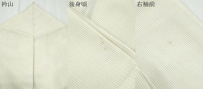平和屋着物＊夏物　訪問着　絽　友禅　草花文　暈し染め　正絹　逸品　CABJ1028th