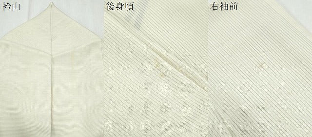 平和屋着物＊夏物　訪問着　絽　友禅　草花文　暈し染め　正絹　逸品　CABJ1028th