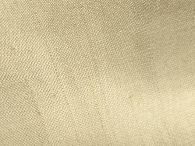 平和屋着物＊夏物　紗紬　色無地　枯色　正絹　逸品　CABJ1039th