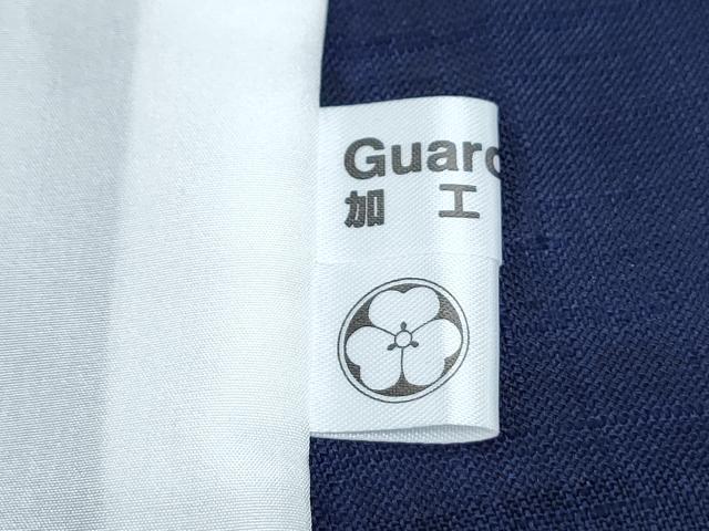 平和屋着物＊夏物　訪問着　生紬　紗　作家物　手描き　葡萄蔦の葉文　暈し染め　正絹　逸品　CABJ1043th