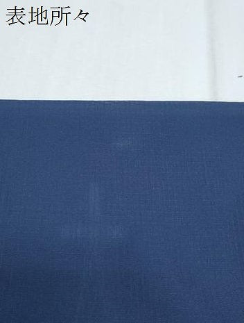 平和屋着物＊夏物　男性　訪問着　紗　舟　洗える着物　CABJ1048th