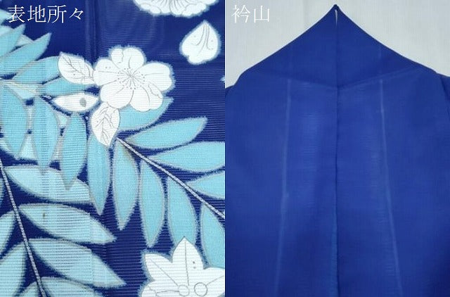 平和屋着物＊夏物　訪問着　絽　辻が花　洗える着物　CABJ1051th