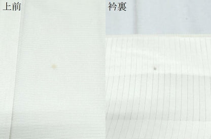 平和屋着物＊夏物　訪問着　絽　手描き　草花文　正絹　逸品　CABJ1061th