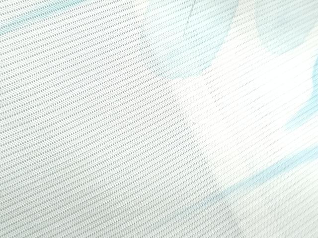 平和屋着物＊夏物　訪問着　絽　手描き　草花文　正絹　逸品　CABJ1061th