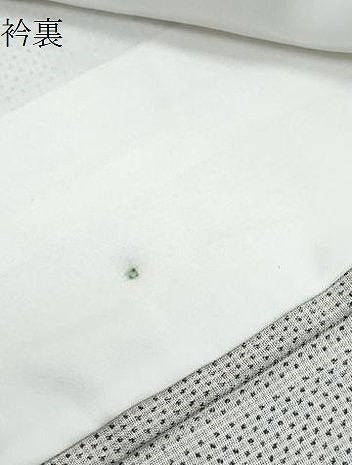 平和屋着物＊夏物　本場大島紬　夏大島　白大島　吉祥文　正絹　逸品　CABJ1062th