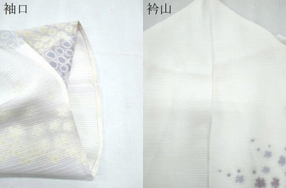 平和屋着物＊夏物　訪問着　絽　舞花文　正絹　逸品　CABJ1064th