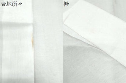 平和屋着物＊夏物　長襦袢　草花紋紗　洗える着物　CABJ1068th