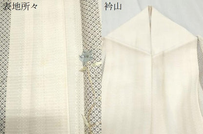 平和屋着物＊夏物　訪問着　刺繍　絽　草花文　正絹　逸品　CABJ1069th