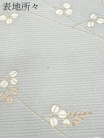 平和屋着物＊夏物　銀座きしや　訪問着　絽縮緬　文箱花文　金彩　正絹　逸品　CABJ1071th