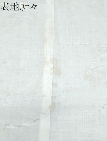 平和屋着物＊夏物　長襦袢　草花紋紗　CABJ1075th