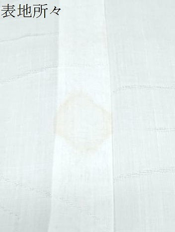 平和屋着物＊夏物　長襦袢　流水草葉紋紗　象牙色　洗える着物　CABJ1083th