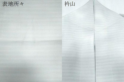 平和屋着物＊夏物　小紋　絽　霞文　暈し染め　正絹　逸品　CABJ1092th