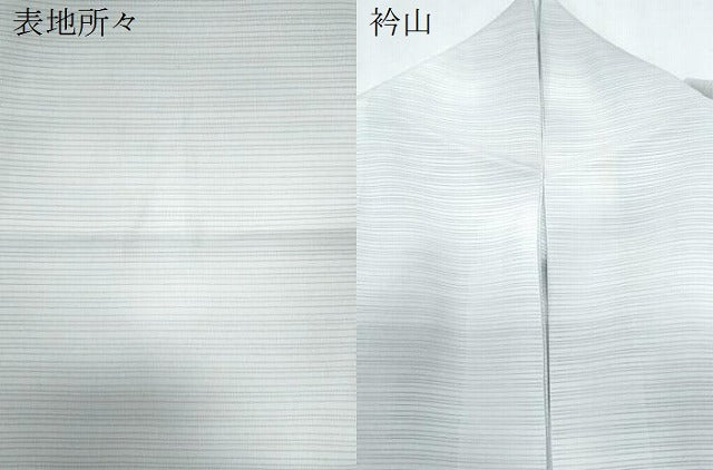 平和屋着物＊夏物　小紋　絽　霞文　暈し染め　正絹　逸品　CABJ1092th