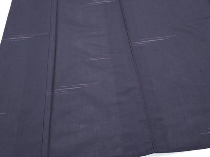 平和屋着物＊夏物　紗紬　吉祥文　正絹　逸品　CABJ1101th