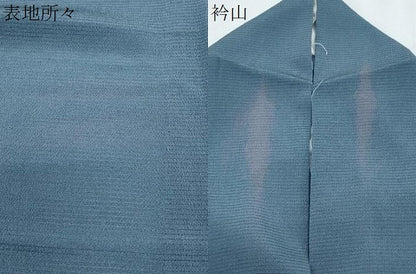 平和屋着物＊本加賀友禅作家　白坂幸蔵　夏物　色無地　絽縮緬　藍色　正絹　逸品　CABJ1104th