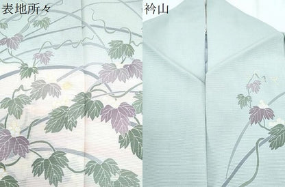 平和屋着物＊夏物　訪問着　絽　友禅　葡萄蔦の葉文　暈し染め　正絹　逸品　CABJ1105th