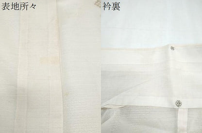 平和屋着物＊夏物　小紋　紗　舞花文　洗える着物　CABJ1122th