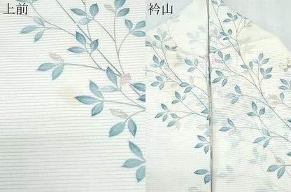 平和屋着物＊夏物　小紋　絽　草葉舞蝶文　洗える着物　CABJ1123th
