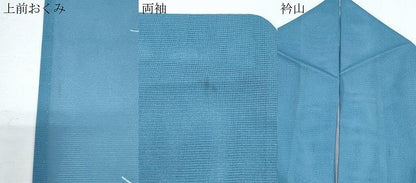 平和屋着物＊夏物　色留袖　絽　千鳥　金彩　洗える着物　CABJ1133th