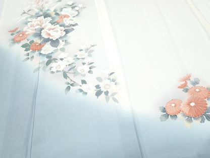 平和屋着物＊夏物　訪問着　絽　友禅　草花文　暈し染め　正絹　逸品　CABJ1151th