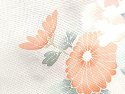 平和屋着物＊夏物　訪問着　絽　友禅　草花文　暈し染め　正絹　逸品　CABJ1151th