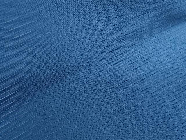 平和屋着物＊夏物　色無地　絽　紺青色　正絹　逸品　CABJ1163th