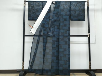 平和屋着物＊夏物　紗紬　吉祥文　正絹　逸品　CABJ1175th