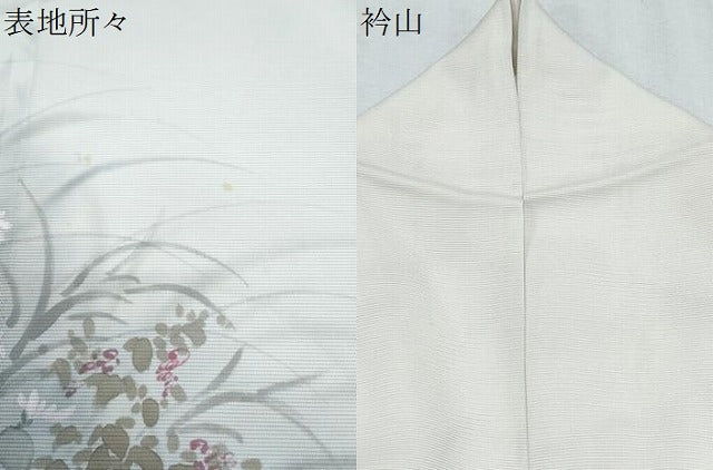 平和屋着物＊夏物　訪問着　絽　手描き　草花文　暈し染め　鈴乃屋扱い　正絹　逸品　CABJ1176th
