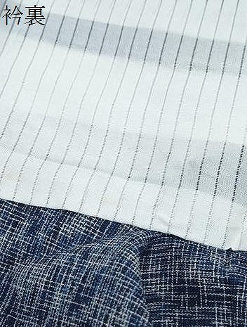 平和屋着物＊夏物　紗紬　霞文　正絹　逸品　CABJ1177th