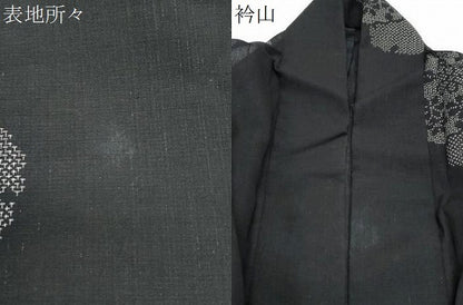 平和屋着物＊夏物　結城紬　夏結城　100亀甲　飛び亀甲柄　雪輪花文　正絹　逸品　CABJ1185th