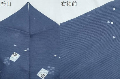 平和屋着物＊夏物　小紋　絽　片輪車舞花文　正絹　逸品　CABJ1187th