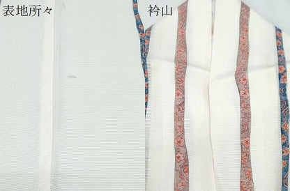 平和屋着物＊夏物　小紋　絽　吉祥花間道　正絹　逸品　CABJ1196th
