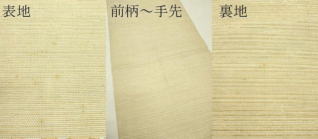 平和屋着物＊夏物　龍村美術織物　龍村製　六通柄　本袋帯　今里圓文　金銀糸　正絹　逸品　CABJ1769rv