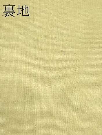 平和屋着物＊夏物　六通柄袋帯　唐織　草花文　金銀糸　正絹　逸品　CABJ1845rv