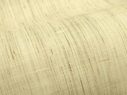 平和屋着物＊夏物　竺仙　両面　全通柄　京袋帯　麻　逸品　未使用　CABJ1895rv