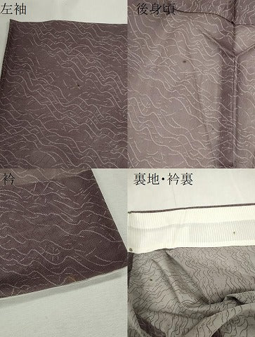 平和屋着物＊夏物　小紋　風通紗　枝葉文　正絹　逸品　CABJ2533ze