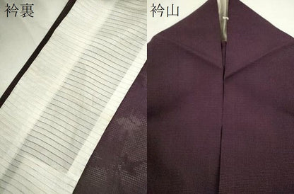平和屋着物＊夏物　色無地　枝葉紋紗　滅紫色　正絹　逸品　CABJ2535ze