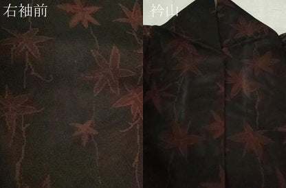 平和屋着物＊夏物　小紋　紗　枝葉文　黒地　正絹　逸品　CABJ2538ze