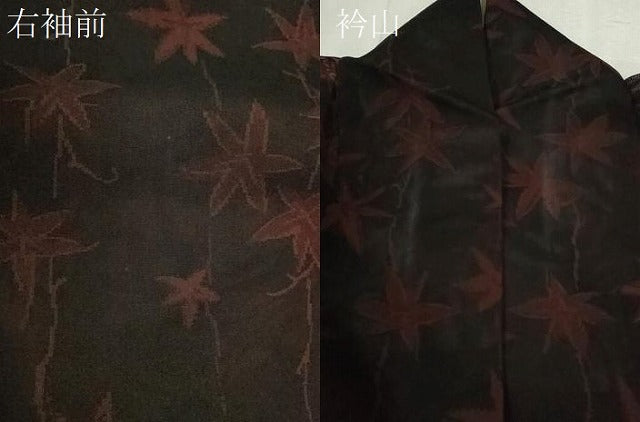 平和屋着物＊夏物　小紋　紗　枝葉文　黒地　正絹　逸品　CABJ2538ze