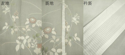 平和屋着物＊夏物　訪問着　絽縮緬　草花文　銀彩　正絹　逸品　CABJ2547ze