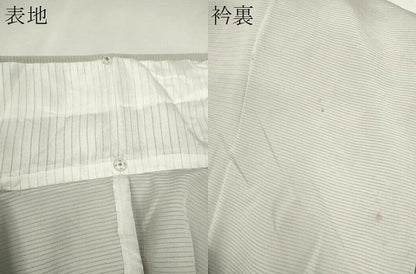 平和屋着物＊夏物　訪問着　絽　駒刺繍　吉祥文　金彩　正絹　逸品　CABJ2551ze