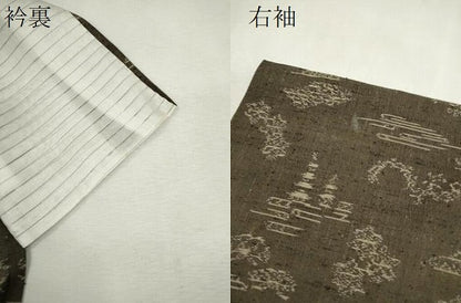 平和屋着物＊夏物　紗紬　風景文　正絹　逸品　CABJ2555ze