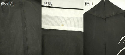平和屋着物＊夏物　訪問着　草葉文　黒地　正絹　逸品　CABJ2575ze