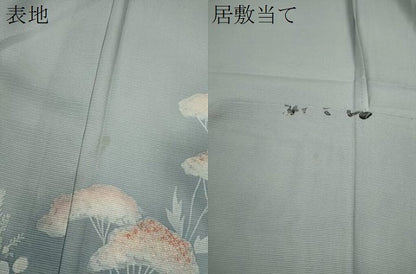 平和屋着物＊夏物　訪問着　絽　刺繍　草木文　暈し染め　正絹　逸品　CABJ2577ze